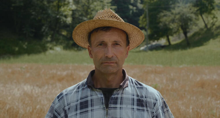 V mojih sanjah rase vsako noč drevo by Vid Hajnšek